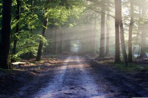 The Discipline of Self-Development: A Leadership Imperative