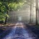 The Discipline of Self-Development: A Leadership Imperative