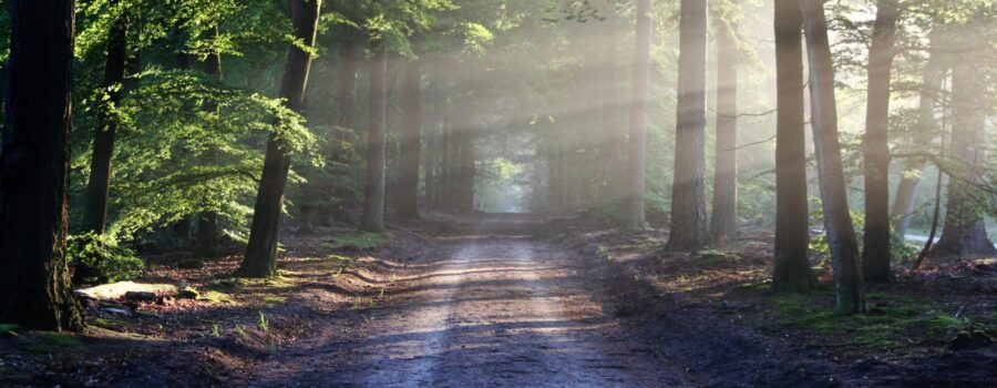 The Discipline of Self-Development: A Leadership Imperative