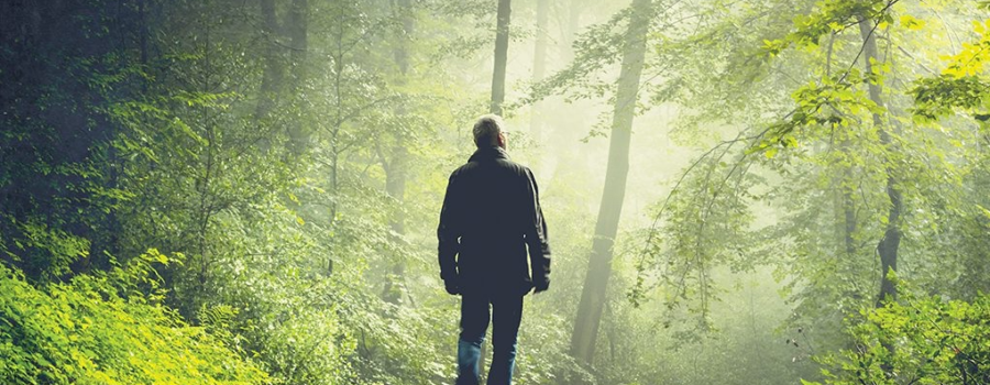 The Power of Solitude: Why Leaders Need Sabbath to Think Clearly